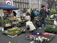 2010桜祭り出店2