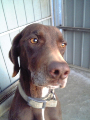 ２００５年１０月ラッシー