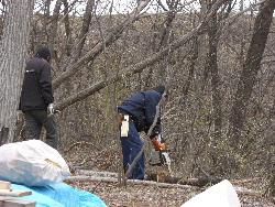 妹ログハウス工事2