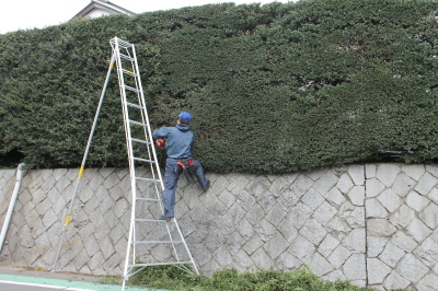 2011.11.28旦那さんお庭のお仕事2