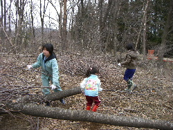 妹ログハウス工事10