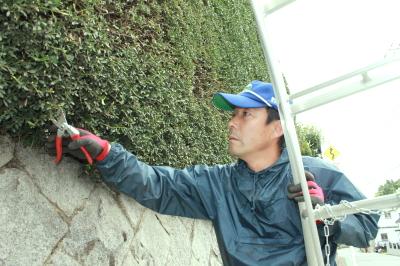 2011.11.28旦那さんお庭のお仕事3