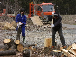 妹ログハウス工事11