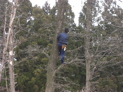 妹ログハウス工事12