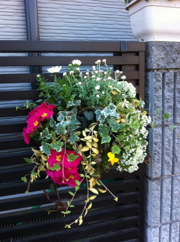 2011/1/14寄せ植え2