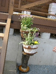 旦那さんが作った花段と寄せ植え2