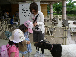 ふれあい動物園3