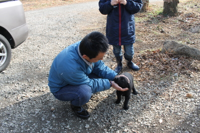 2012.1.4仔犬選び
