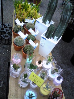 2008年11月7日農業祭り2