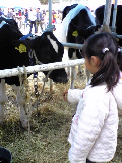 2008年11月7日農業祭り3