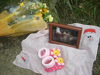 赤ちゃんの供養（写真と花と靴下）