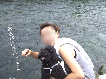 ちょいと川で