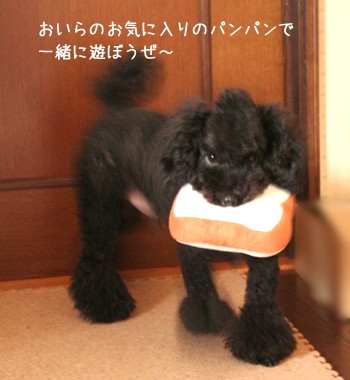パンパンで遊ぼうぜ！