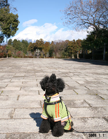 富士山とムーク