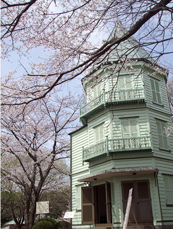 桜