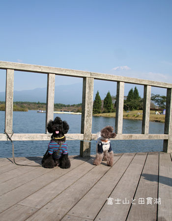 田貫湖で記念撮影