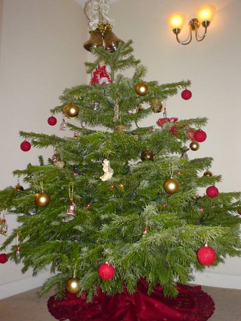 tree 2008