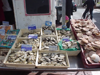 France　魚屋２