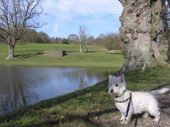 bodiam n ben