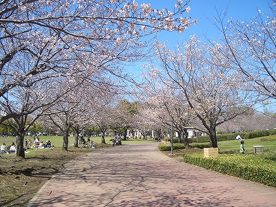 文化公園