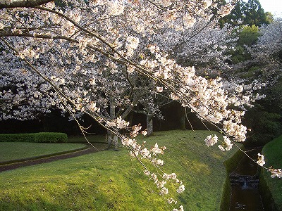 アスレチック公園