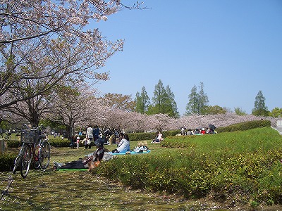 文化公園