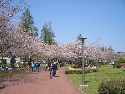 文化公園