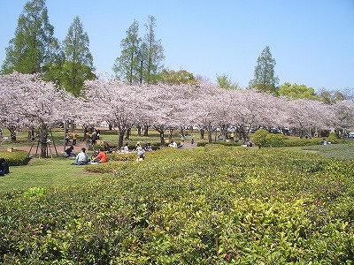 文化公園2010