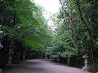 参道