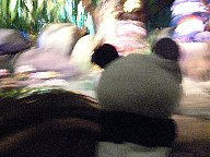 スプラッシュマウンテン