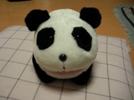 新入り