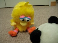 悩みをかかえる黄色いの