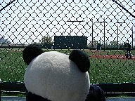 戸田球場