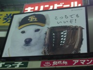 こっちでもいいぞ