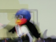 つばくろう