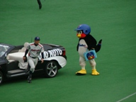 追いかける