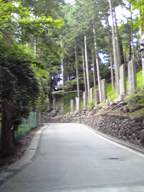 参道