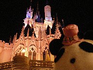 ディズニーランド