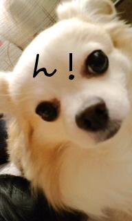 nanndayo
