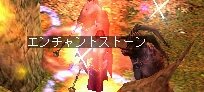 0911-エン石2