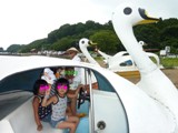 hollyhock☆summer号♪