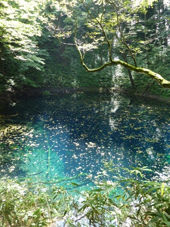 青池★