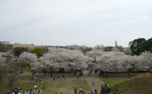 四季の森公園.jpg