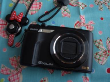 20100708 003.JPG