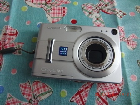 20100708 004.JPG