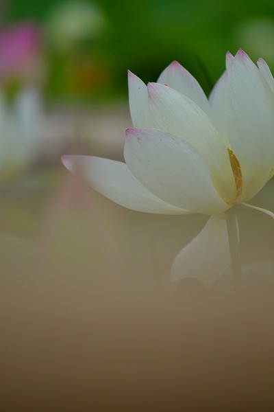 s-DSC_1411.jpg