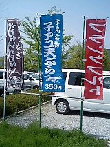 nobori.jpg
