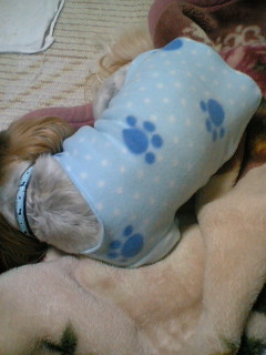 フリースの上着、が寝てる・・・。