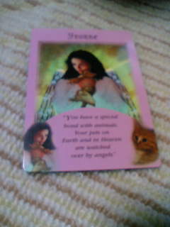 withネコちゃんカード。