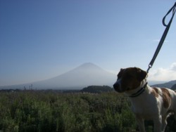 富士山とボク